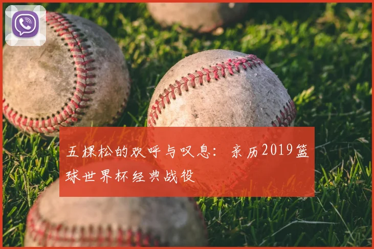 五棵松的欢呼与叹息:亲历2019篮球世界杯经典战役