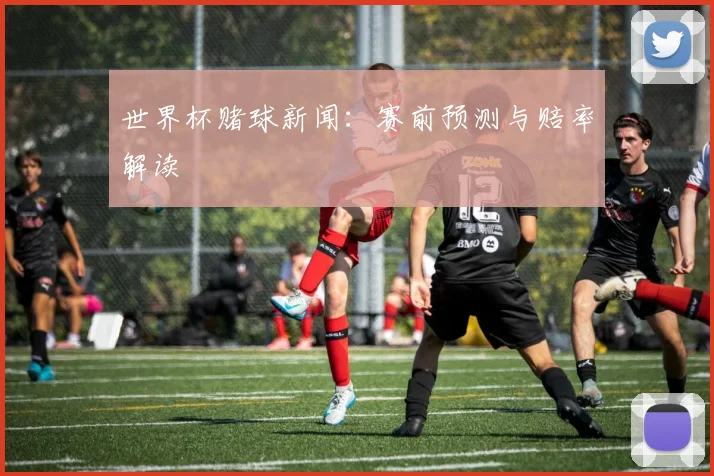 世界杯赌球新闻：赛前预测与赔率解读