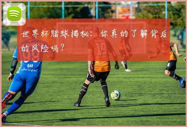 世界杯赌球揭秘：你真的了解背后的风险吗？