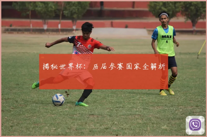 揭秘世界杯：历届参赛国家全解析