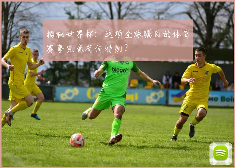 揭秘世界杯：这项全球瞩目的体育赛事究竟有何特别？