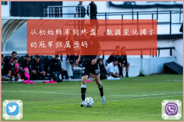 从初始赔率到终盘：数据变化揭示的冠军归属密码