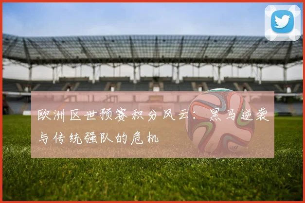 欧洲区世预赛积分风云：黑马逆袭与传统强队的危机