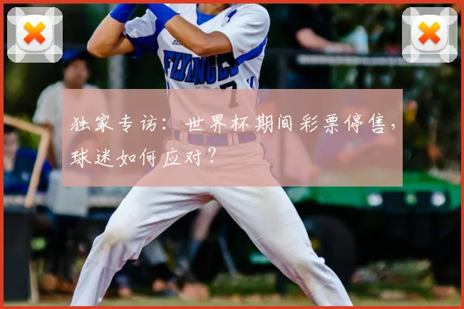 独家专访:世界杯期间彩票停售,球迷如何应对?