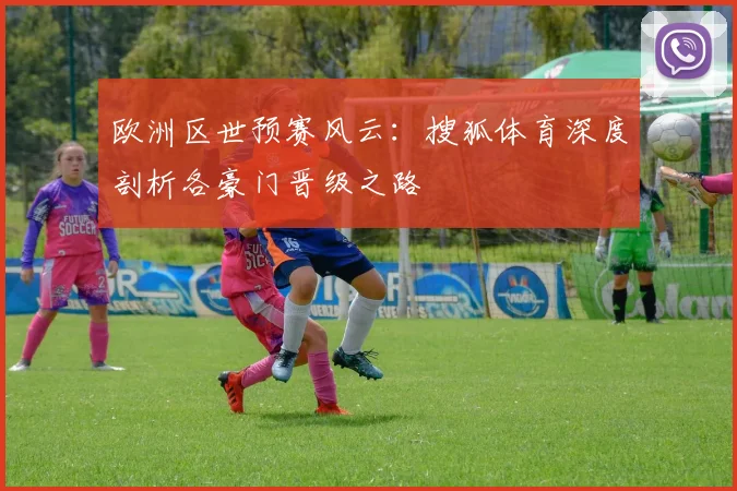 欧洲区世预赛风云:搜狐体育深度剖析各豪门晋级之路