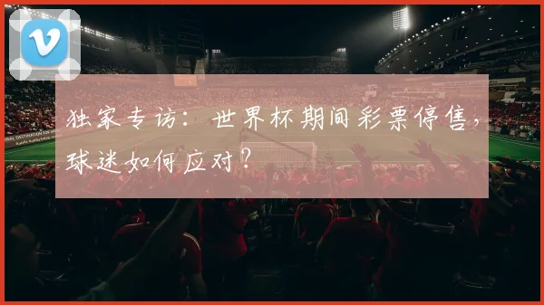 独家专访：世界杯期间彩票停售，球迷如何应对？