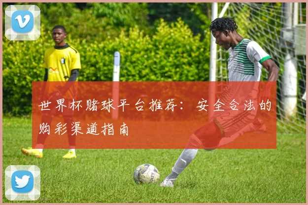 世界杯赌球平台推荐:安全合法的购彩渠道指南