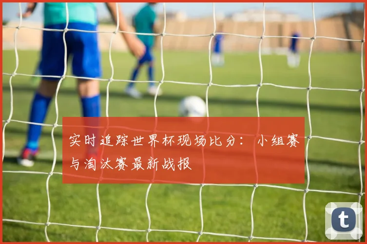 实时追踪世界杯现场比分：小组赛与淘汰赛最新战报