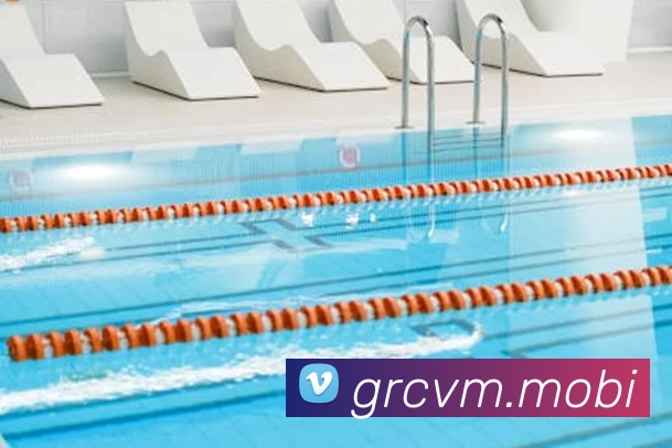 开云手机在线官网登录平台生态图